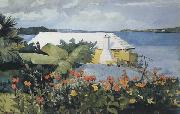 Winslow Homer Flower Garden and Bungalow,Bermuda (mk44) oil painting picture wholesale